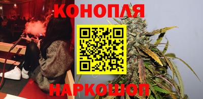 сатива Будённовск