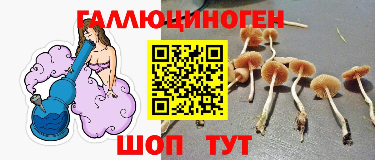 Псилоцибиновые грибы GOLDEN TEACHER  Галлюциногенные грибы GOLDEN TEACHER  Вход с VPN  Канск 