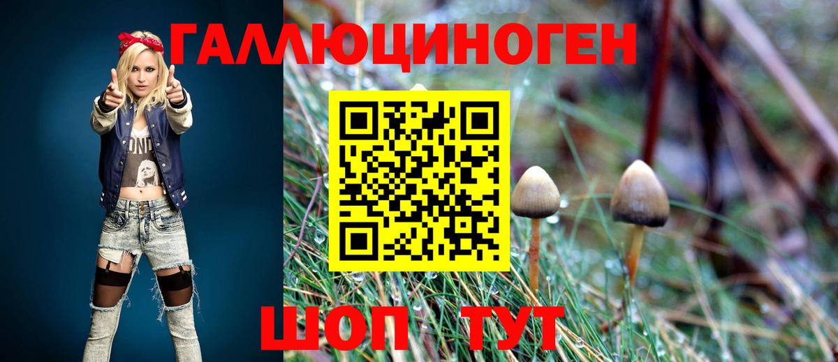 Галлюциногенные грибы MAGIC MUSHROOMS Канск